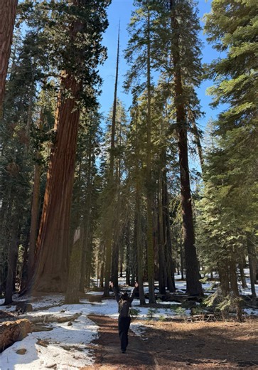 Weekend Adventures in Three Rivers and Sequoia National Park