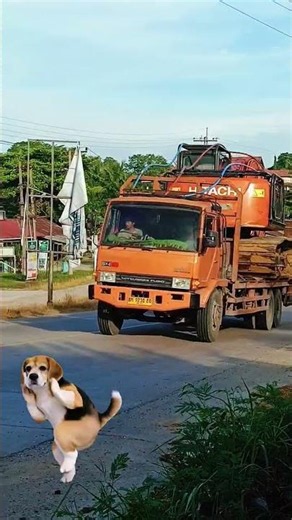 FUSO VIRAL DENGAN TREN ANJIN* JOGED 😝