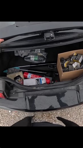 129K views · 1.5K reactions | A Mouse Came Out From My Car! #car #concrete #work | Victory Outdoor Services | Facebook