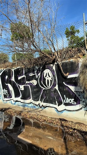 Effective Graffiti Removal Techniques for Clean Walls