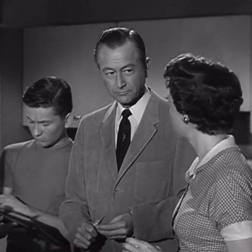 Father Knows Best (1954-1960) Robert Young, Billy Gray & Jane Wyatt. I don’t own the rights.
