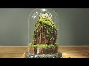 Making a moss terrarium!