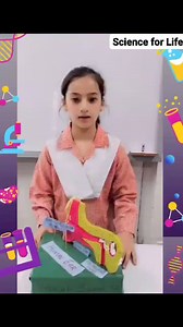 The Learner High School & College For Girls on Reels