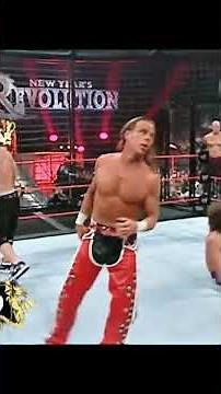 WWE Title Elimination Chamber Match: New Year's Revolution 2006