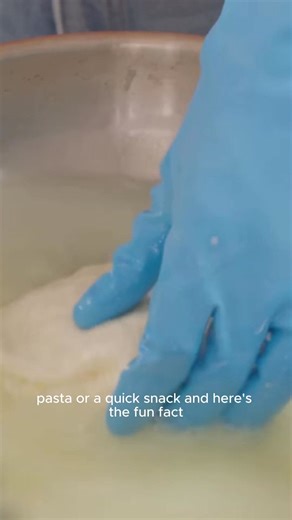 19K views · 285 reactions | Learn How to Make Homemade Mozzarella with the easiest mozzarella recipe that transforms whole milk into creamy, fresh cheese at home. | Bigger Bolder Baking | Facebook