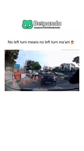 How Everything Looks | Traffic laws aren't just suggestions, but some drivers seem to think a "No Left Turn" sign is merely a polite request. In this instance, a... | Instagram