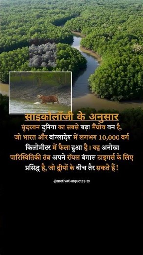 psychology ke anusar|| #shorts #motivation #mindset #psychology #facts #inspiration #explore #viral