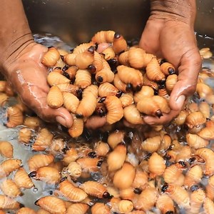 98K views · 1K reactions | Best Video Village Food @Unique Food | Rural Cooking | Facebook