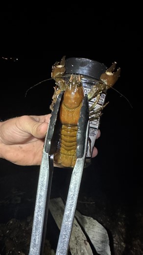 High Mountain Survival: Crawfish, Bowman Lake , Tahoe National Forest CA | Elysian and Alora