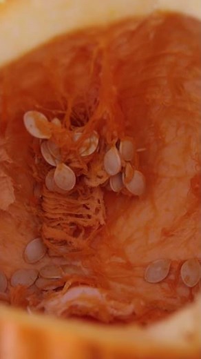 Easy Way To Remove Pumpkin Seeds (no special tools needed!)