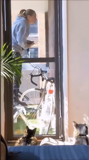 Funny Fails | follow @failzfuns for more fails 😂 #reels #funny #viralreels #fyp #reelsinstagram #instagood #instagram #instafeeds | Instagram