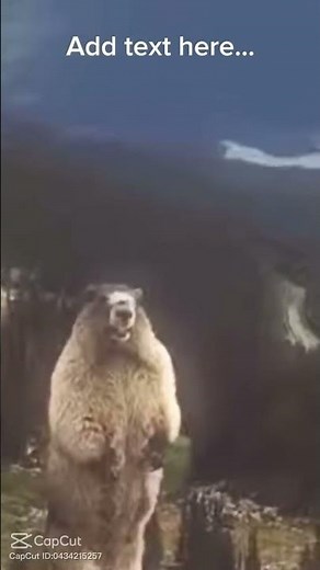 12 intense seconds of a capybara screaming #memes