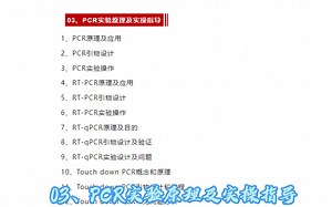 【论文数据】PCR计算万能模板+教程资料！