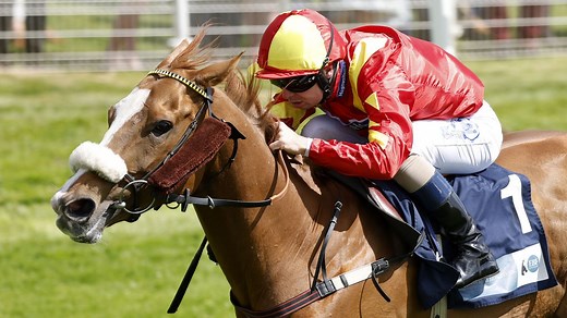 Ground key to plans for prolific Gale Force Maya