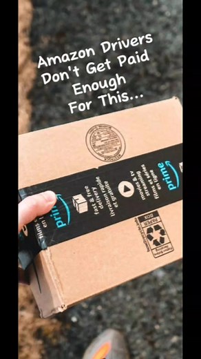 2.9K views · 81 reactions | Amazon delivery drivers with relentless service. #Amazon #deliveryservice #work #shipping #amazonprime | Darvis Suber | Facebook