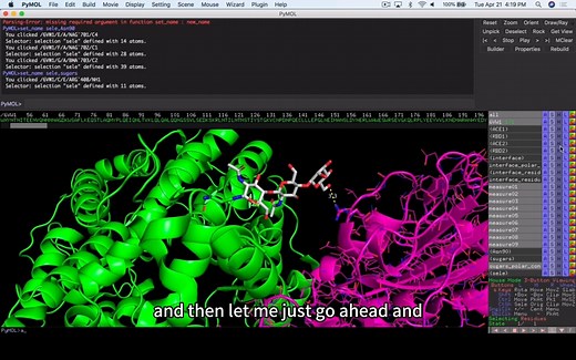 「PYMOL」展示蛋白之间interaction互作界面