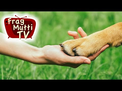 Cutting dog claws | Ask Mom TV