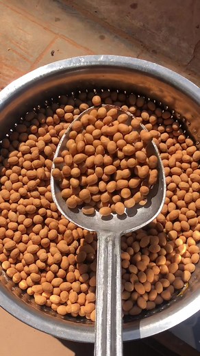 Master Coated Peanuts with Our Expert Recipe