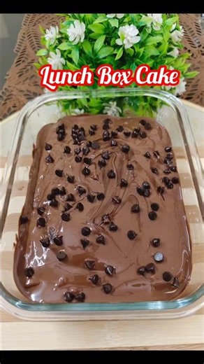 Lunch Box Cake Recipe #cake #chocolatecake #viral #recipe #viralvideo #cooking