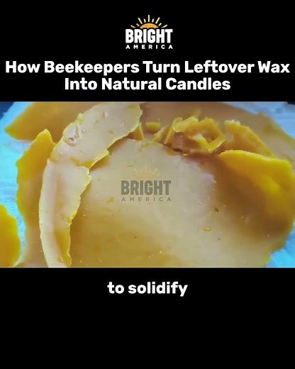 Turn Leftover Beeswax into Natural Candles