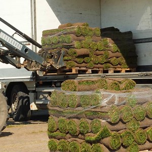 Environment-Friendly Instant Lawn! Thanks for watching! Please be aware that this video is for entertainment purposes only and techniques shown should not be attempted at home! | Science, Tech and Universe