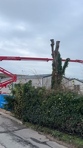 6.3K views · 22 reactions | CMC LIFT UK | Romsey Tree Surgeons ltd | Facebook