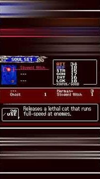 Vinny - The Best Soul In Aria of Sorrow