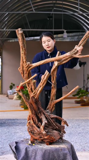 Grafting Azaleas onto Live Cuttings