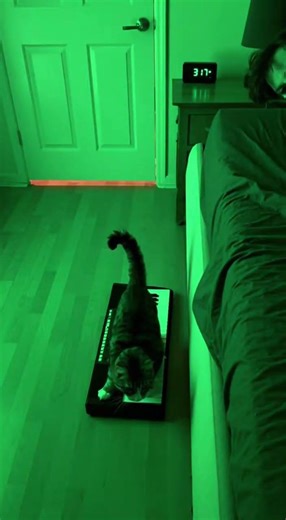 Keyboard CAT does this every night...