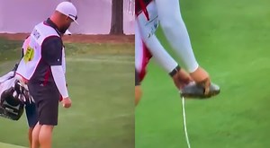 "Caddy Needs Hazardous Duty Pay": Social Media Is In Stitches After Turtle Was Caught On Camera Peeing Out An Entire Tank During The Houston Open