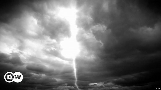 Forest fires and lightning strikes