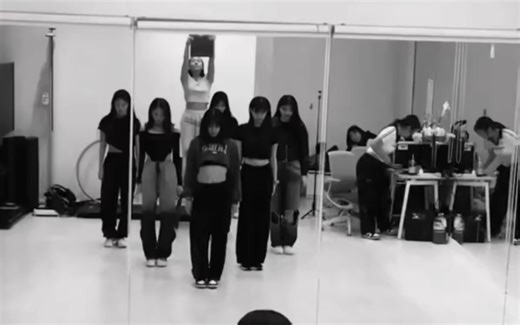 Introduction 编舞 加了倍速的～ 无需镜面