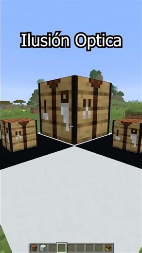 Ilusion Optica #minecraft 😱