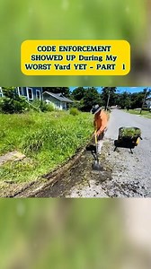 #mowing #edging #cleanup #asmr #satisfying #cleaning #overgrownyard #fyp #fypシ #viral #viralvideo #transformation #overgrown | Lawn Care Reel