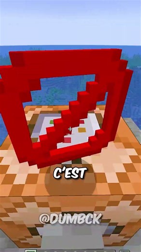 L’Objet le PLUS SECRET dans Minecraft ! #shorts