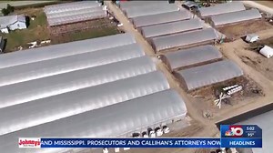 10K views · 44 reactions | Native American West Carroll farmer discriminated against by USDA Farm Service Agency https://trib.al/Cukgoda | KTVE 10 KARD 14 myarklamiss | Facebook