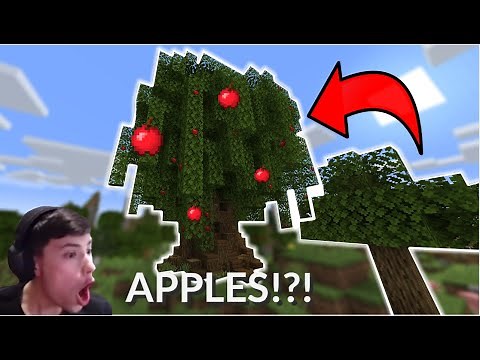 How To Make Apple Tree In Minecraft 1.19!