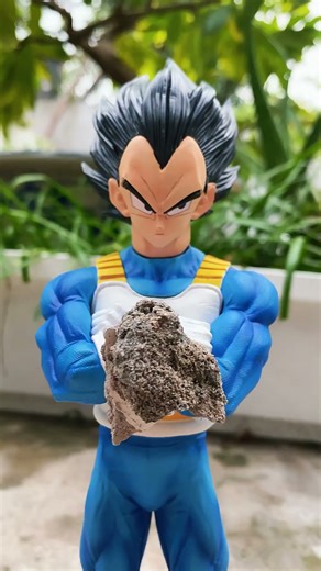 Vegeta refuses anything that makes him uncomfortable.#animeedit #dragonball #dbzanimation