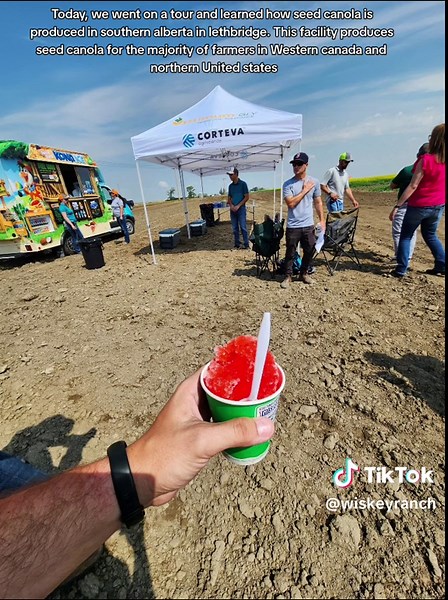 #canadianag #corteva #alberta #farmtok #farmlife #canola @Corteva Agriscience