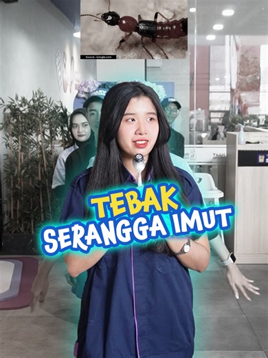 Mengatasi Serangga di Rumah: Bahaya dan Solusi