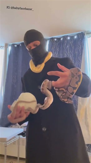 Who else likes snakes 🐍 #boa #python #fyp #shorts #subscribe