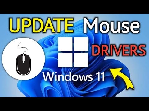 How To Update Mouse Driver on Windows 11