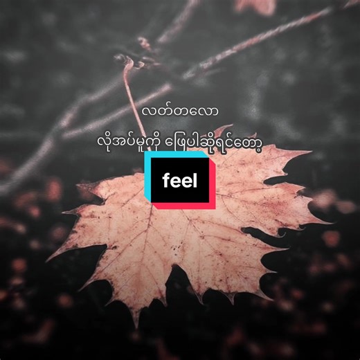 မင်းအသံကိုကြားချင်တယ် - TikTok မှာ Feel Edit