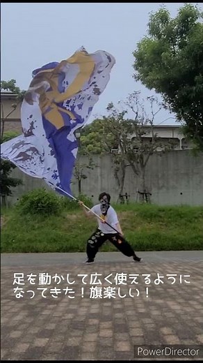 「旗歴別 旗の振り方」 #よさこい #旗 #ダンス #振ってみた #踊ってみた #flagwaver #n