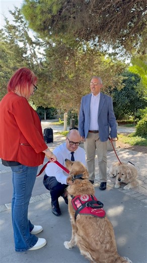 Il-Fondazzjoni Service Dogs Malta tikseb fondi Ewropej għal taħriġ speċjalizzat barra minn Malta 🇪🇺🦮 | Stefan Zrinzo Azzopardi