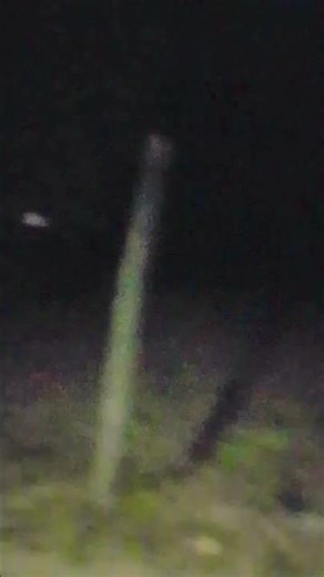 Naite videos shot me🥀🥀🐕😫😩 #song #love