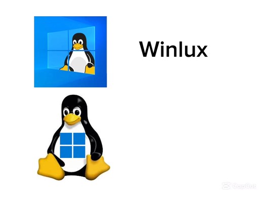 what's better? 🙃 #linux #windows #winlux #lindows | Windows