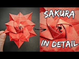 Origami Sakura in Detail | How to fold Paper Sakura by Ali Mahmani