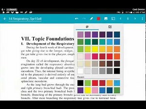 Squid (Formerly Papyrus) Tutorial