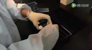 抗体免疫组化（IHC）实验操作指导